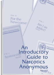 An Introductory Guide to Narcotics Anonymous Softcover NEW