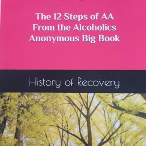 Bob D of Las Vegas NV The 12 Steps of AA From the Alcoholics Anonymous Big Book Softcover