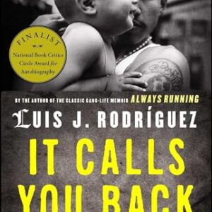 It Calls You Back: An Odyssey Rodriguez, Luis J. Paperback VG