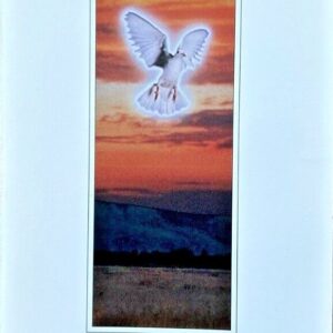 Scriptural Meditation Biehl, Cheryl PB G