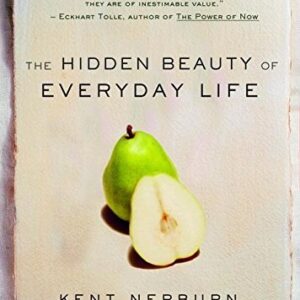 The Hidden Beauty of Everyday Life Nerburn, Kent HC VG+