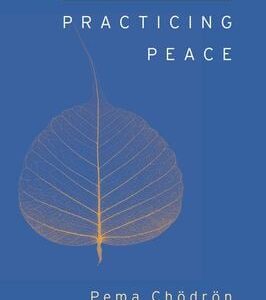 Practicing Peace in Times of War Pema Chodron HC VG