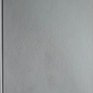 Shock Treatment Van Atta, Winfred