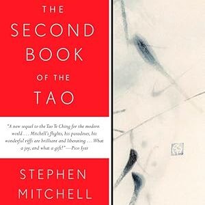 Second Book of the Tao : Compiled and Adapted from the Chuang-Tzu and the Chung Yung Mitchell, Stephen Paperback G
