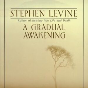 A Gradual Awakening Levine, Stephen PB G+